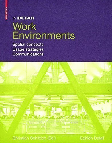 In Detail, Work Environments Spatial concepts, Usage Strategies, Communications