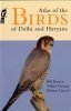 Atlas Of The Birds Of Delhi And Haryana Paperback