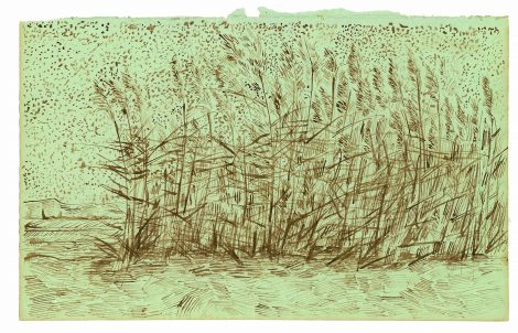 Vincent van Gogh The Lost Arles Sketchbook 3