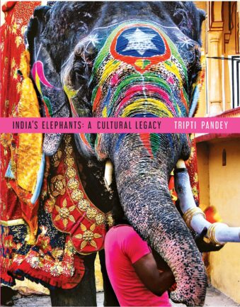 India’s Elephants: A Cultural Legacy