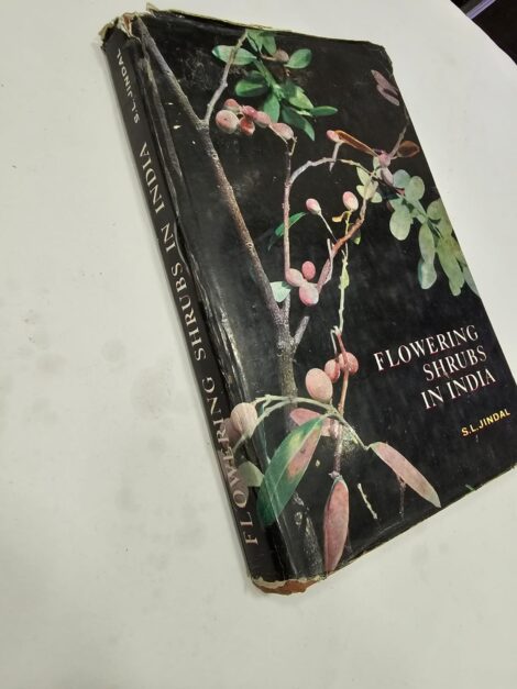 FLOWERING SHRUBS IN INDIA 7