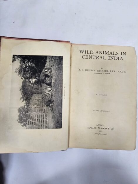 WILD ANIMALS IN CENTRAL INDIA 1